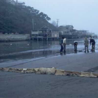 Oil Spill, Jan 1971