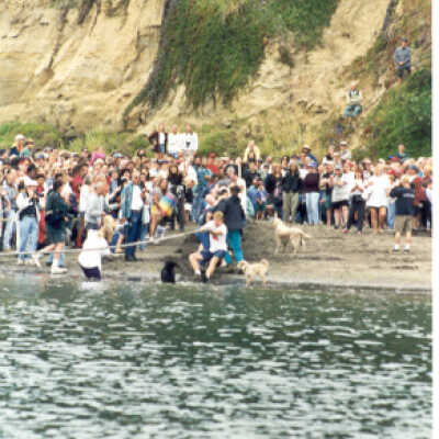 Tug of War '97