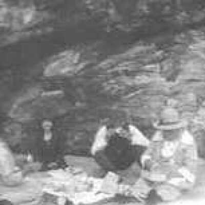 Picnickers