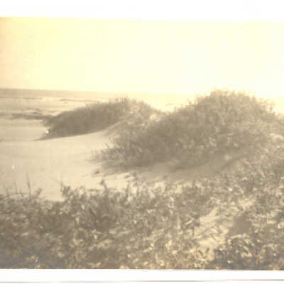 Stinson Sand and Dunes