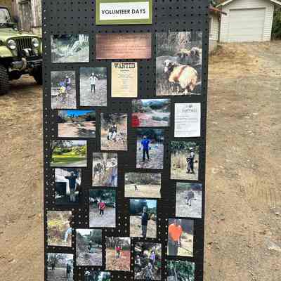 Stinson Beach Community Center celebrates 10 Willow 9/21/24