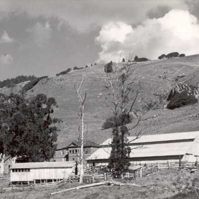 White Gate Ranch 11/24/54