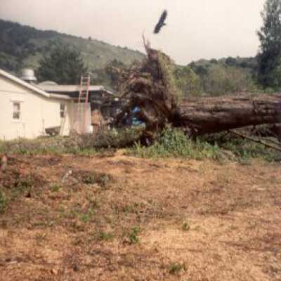 Storm March 2002
