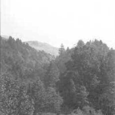 Mount Tamalpais