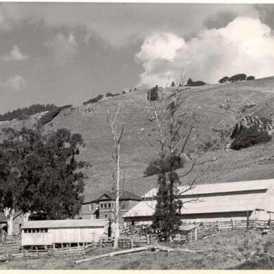 Ranch Buildings