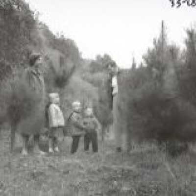 Christmas Tree Ranch