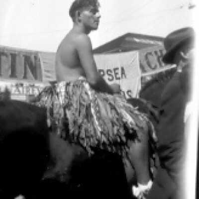 Hula Horse