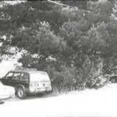 Parked cars