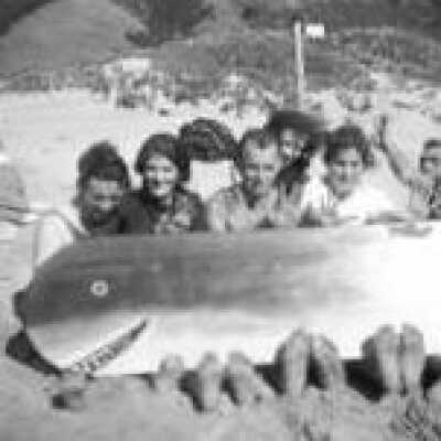 Group Photo with Painted Shark