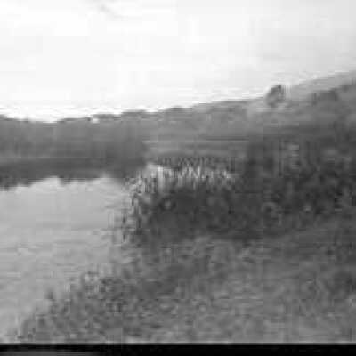Upper Bolinas Lagoon