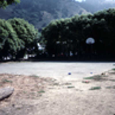 Basket Ball Court