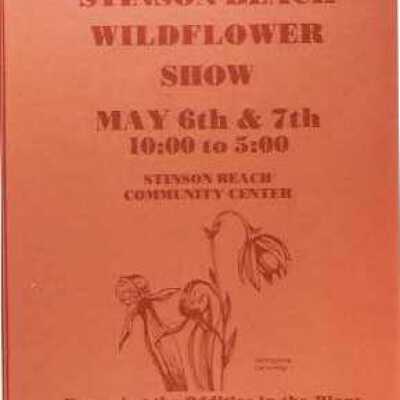 Wild flower show poster 72
