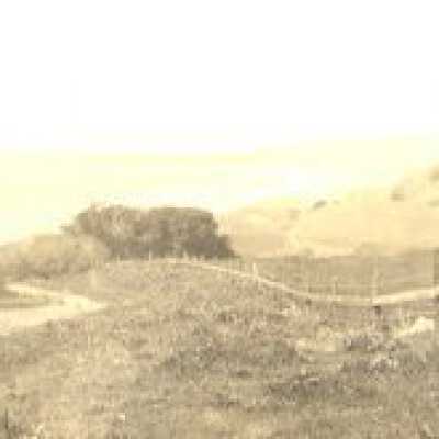 Stinson from Dipsea Trail