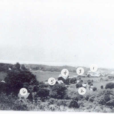 Photograph #35 (auto-assigned)