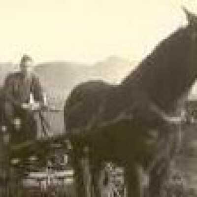horse & cart with male driver