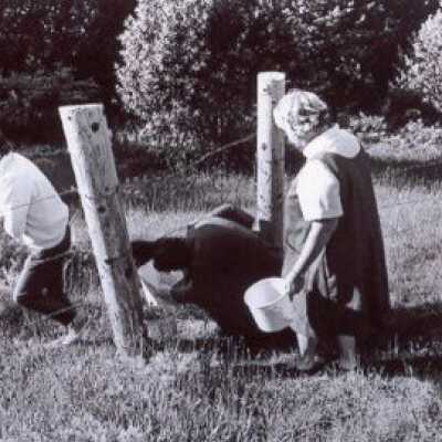 Going Under the Barbed Wire Fence