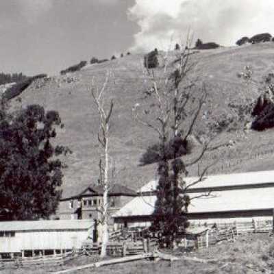 White Gate Ranch Barn