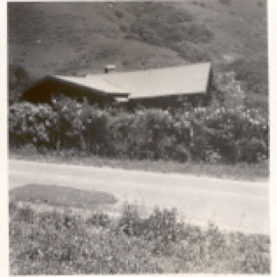 Peggy Pepper's Roof