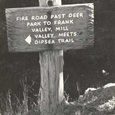 Signs and sign boards