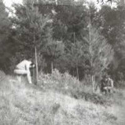 Christmas Tree Ranch