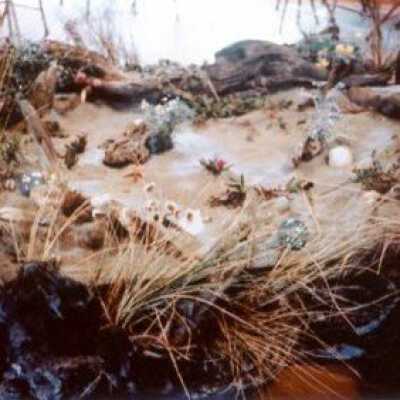Beach Scene Diorama 1960