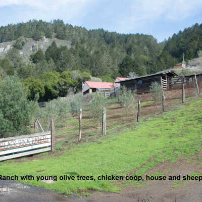 Black Rock Ranch Gate