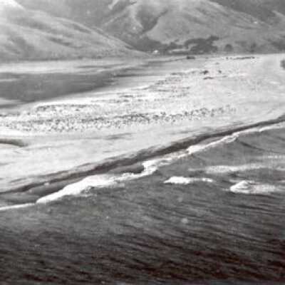 Seadrift Sandspit
