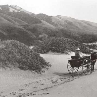 A Baggy on Sandspit