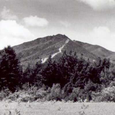 Mt Tam Scar of RR