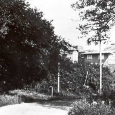 Garden with houses on the hill