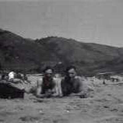 People Laying on Beach