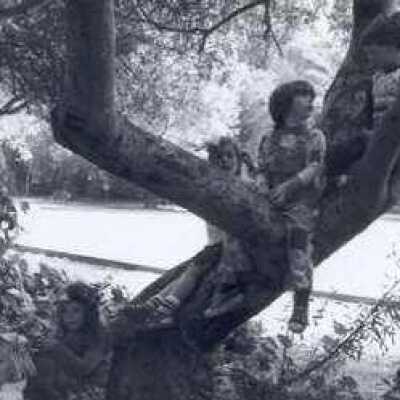 Stinson Beach Preschool