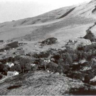 Stinson Beach hillside