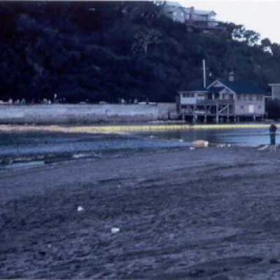 Oil Spill, Jan 1971