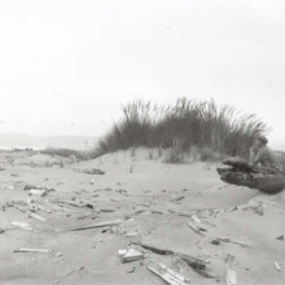 Dune and Grass