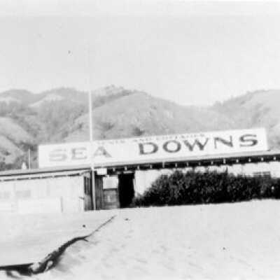 Sea Downs