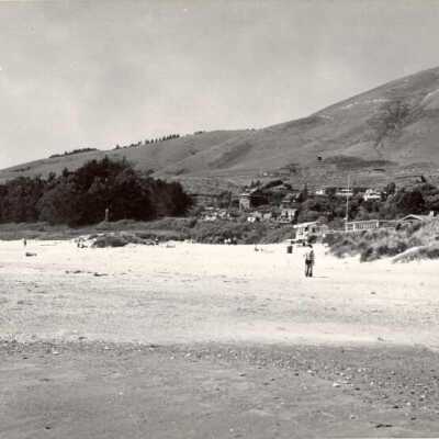 Seadowns on the Beach