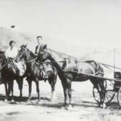 Horse buggy on the beach