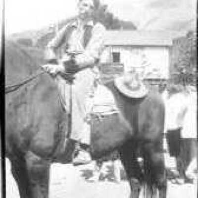 Horse and Rider
