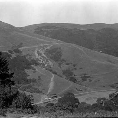 Joe's Pine and Hog's Back on Dipsea Trail
