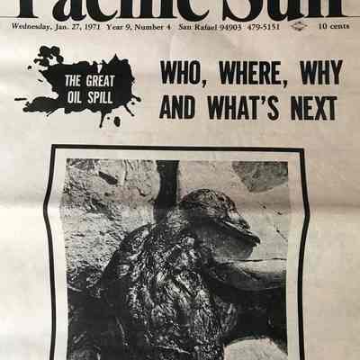 Oil spill 1972 Pacific Sun article