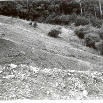 Hillside with brush