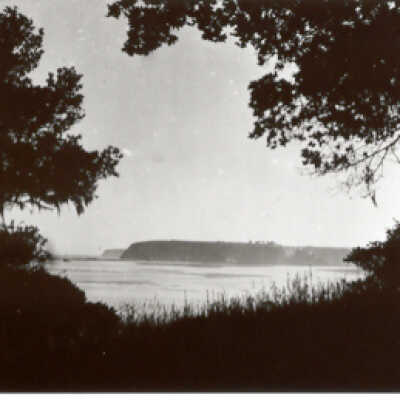 Bolinas Lagoon