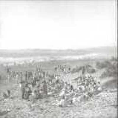 Beach crowd