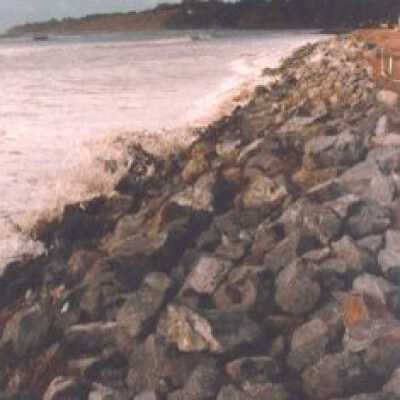 Rock Wall before grooming