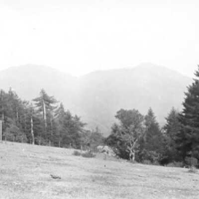 Mount Tamalpais