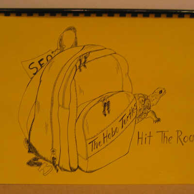 The hobo Turtles of Willow Camp