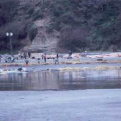 Oil Spill, Jan 1971