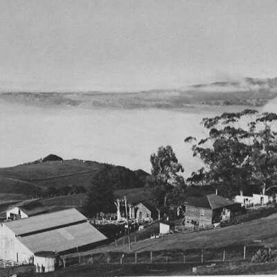 White Gate Ranch Above the Fog