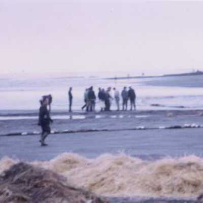 Oil Spill, Jan 1971